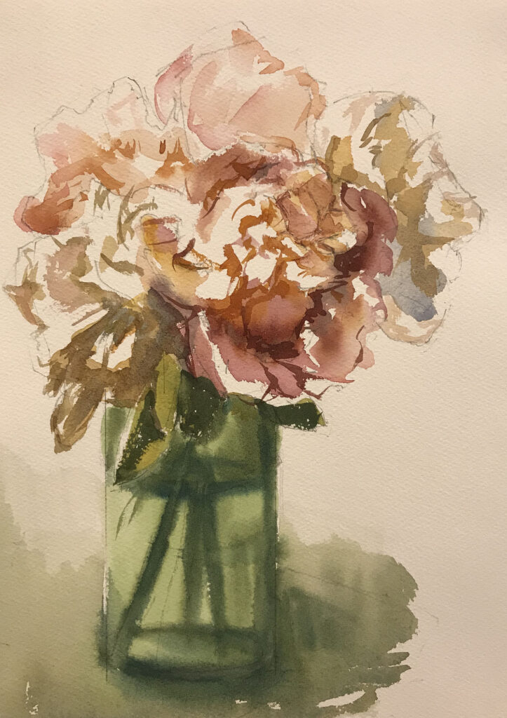 Peonies